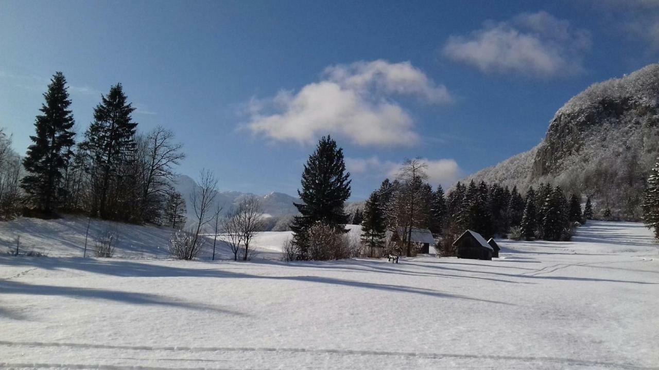Apartma Pr Gatej Bohinj Luaran gambar