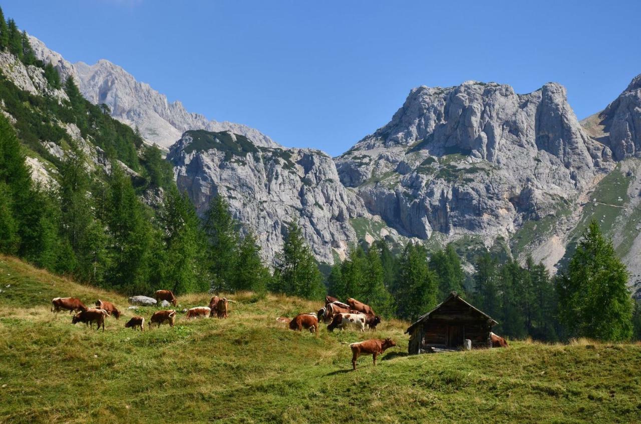 Apartma Pr Gatej Bohinj Luaran gambar